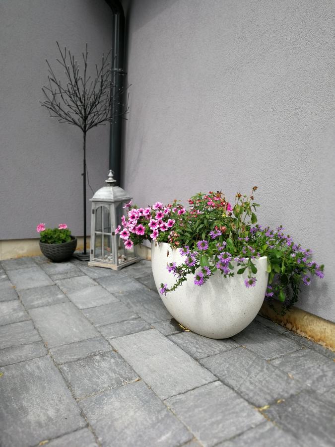 Zsinko Villa Pécs Eksteriør bilde